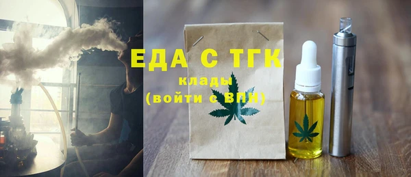 индика Михайловск