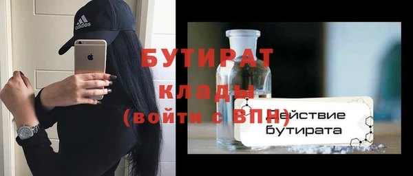 индика Михайловск