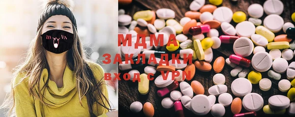 индика Михайловск