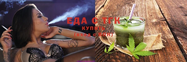 индика Михайловск