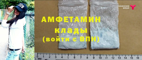индика Михайловск