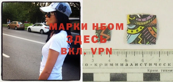 индика Михайловск