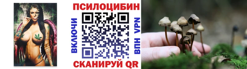 магазин    Ардон  Галлюциногенные грибы ЛСД 